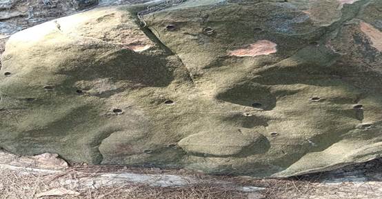 图示, 示意图
中度可信度描述已自动生成:ver1